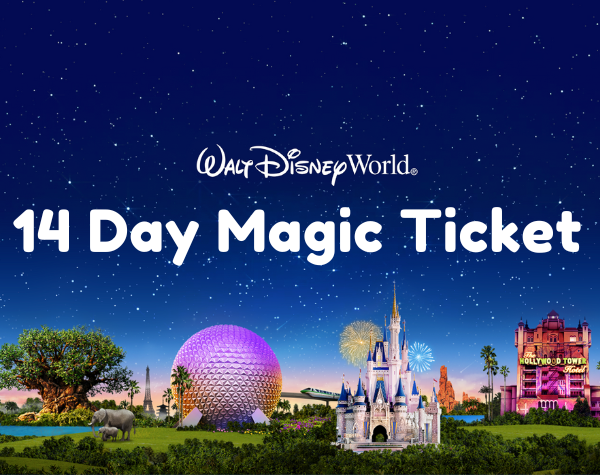 Disney World 14 Day Magic Ticket